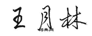 駱恆光王月林行書個性簽名怎么寫