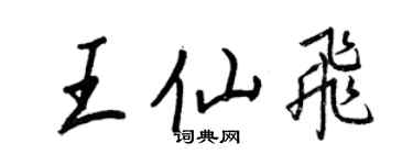 王正良王仙飛行書個性簽名怎么寫