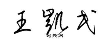 梁錦英王凱民草書個性簽名怎么寫