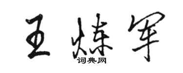 駱恆光王煉軍行書個性簽名怎么寫