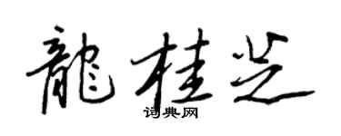 王正良龍桂芝行書個性簽名怎么寫