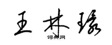 梁錦英王林環草書個性簽名怎么寫