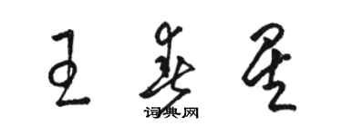 駱恆光王春星草書個性簽名怎么寫