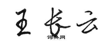 駱恆光王長雲行書個性簽名怎么寫