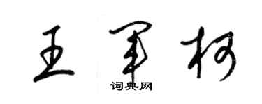 梁錦英王軍柯草書個性簽名怎么寫