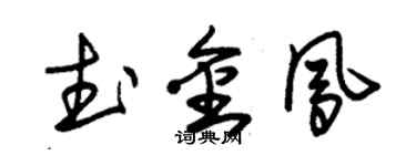 朱錫榮武金鳳草書個性簽名怎么寫