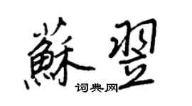 王正良蘇翌行書個性簽名怎么寫