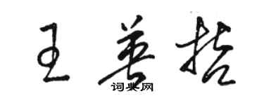 駱恆光王英哲草書個性簽名怎么寫