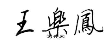 王正良王樂鳳行書個性簽名怎么寫