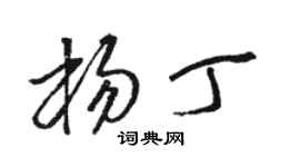 駱恆光楊丁草書個性簽名怎么寫