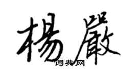 王正良楊嚴行書個性簽名怎么寫