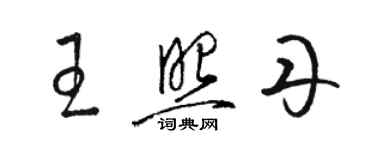 駱恆光王照丹草書個性簽名怎么寫