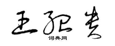 曾慶福王紀貴草書個性簽名怎么寫