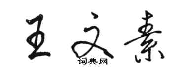 駱恆光王文素行書個性簽名怎么寫