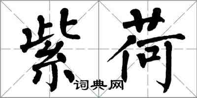 翁闓運紫荷楷書怎么寫