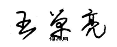 朱錫榮王單亮草書個性簽名怎么寫