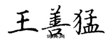 丁謙王善猛楷書個性簽名怎么寫