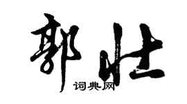 胡問遂郭壯行書個性簽名怎么寫