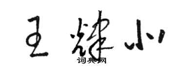 駱恆光王輝北草書個性簽名怎么寫