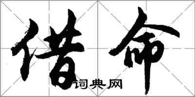 胡問遂借命行書怎么寫