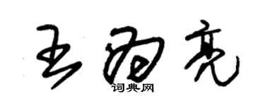 朱錫榮王為亮草書個性簽名怎么寫