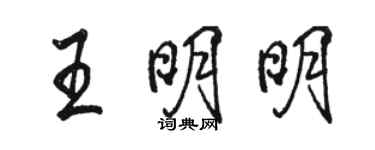 駱恆光王明明行書個性簽名怎么寫