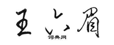 駱恆光王六眉行書個性簽名怎么寫