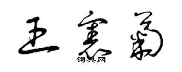 曾慶福王憲菊草書個性簽名怎么寫