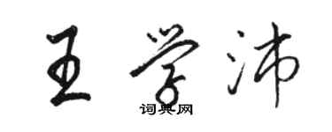 駱恆光王學沛行書個性簽名怎么寫