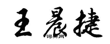 胡問遂王晨捷行書個性簽名怎么寫