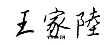 王正良王家陸行書個性簽名怎么寫