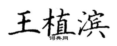 丁謙王植濱楷書個性簽名怎么寫