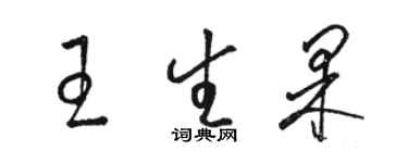 駱恆光王生果草書個性簽名怎么寫