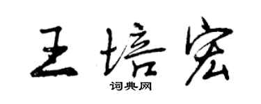 曾慶福王培宏行書個性簽名怎么寫