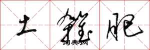 梁錦英土雜肥草書怎么寫