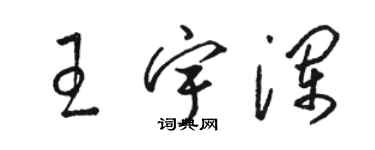 駱恆光王宇瀾草書個性簽名怎么寫