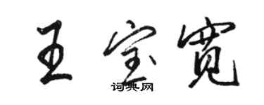 駱恆光王寶寬行書個性簽名怎么寫