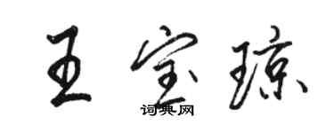 駱恆光王寶瓊行書個性簽名怎么寫