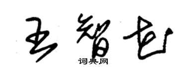 朱錫榮王智花草書個性簽名怎么寫