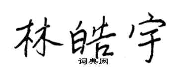 王正良林皓宇行書個性簽名怎么寫