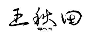 曾慶福王秋田草書個性簽名怎么寫
