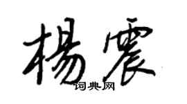 王正良楊震行書個性簽名怎么寫