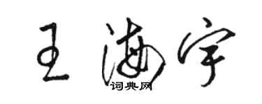 駱恆光王海宇草書個性簽名怎么寫