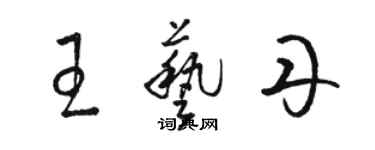 駱恆光王藝丹草書個性簽名怎么寫