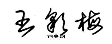 朱錫榮王彩梅草書個性簽名怎么寫