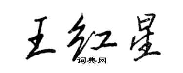 王正良王紅星行書個性簽名怎么寫