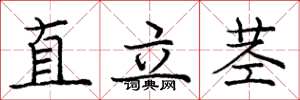 龐中華直立莖楷書怎么寫