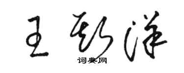 駱恆光王斯洋草書個性簽名怎么寫