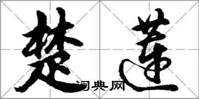 胡問遂楚蓮行書怎么寫