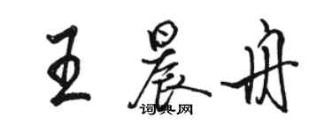 駱恆光王晨舟行書個性簽名怎么寫